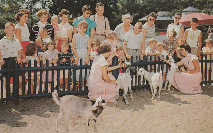 Belle Isle Childrens Zoo - Vintage Postcard (newer photo)